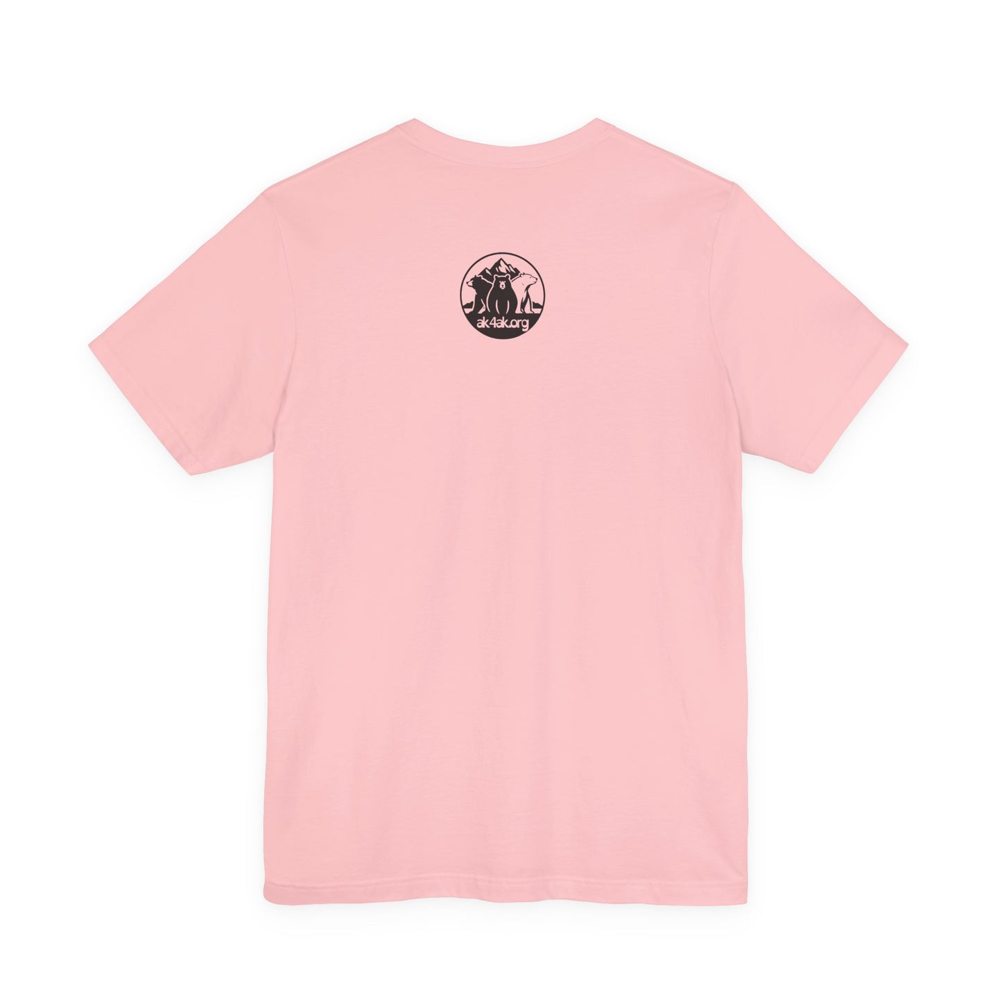 Alaska Bush Pilots 'Old and Bold' Plane Tee