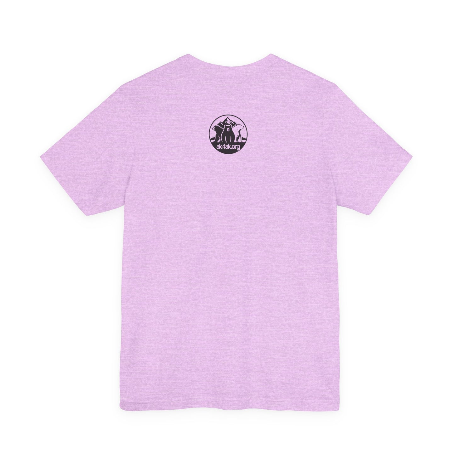 Alaska Bush Pilots 'Old and Bold' Plane Tee